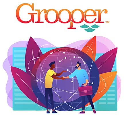 grooper partnership data-centric portfolio
