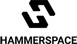 hammerspace logo